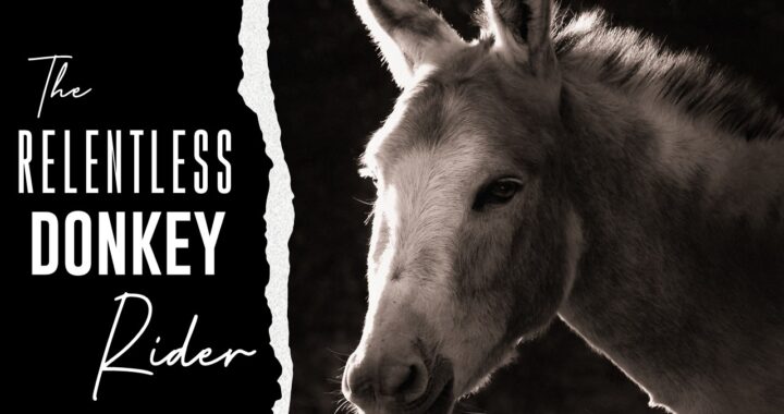 The Relentless Donkey Rider