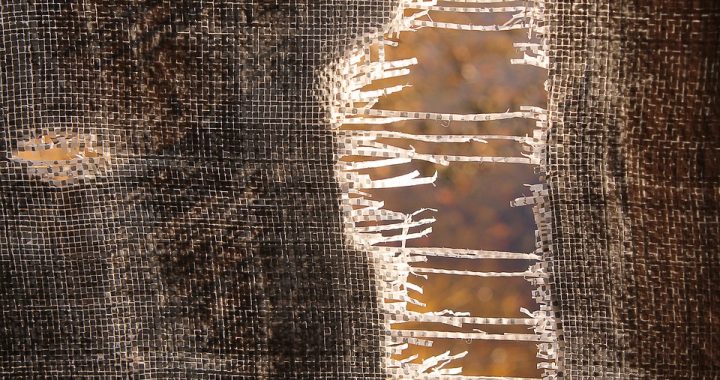 Devotion Causes Division