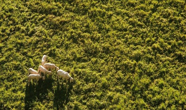 The Gift of Gathering