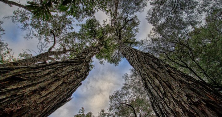 Higher Than Our Ways