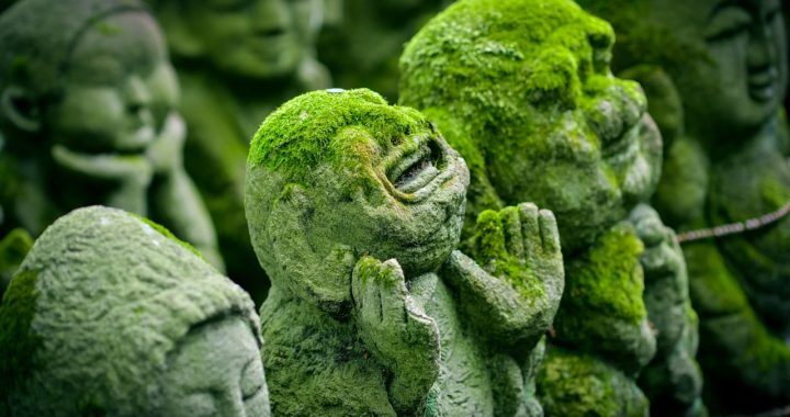 You Are What You Worship