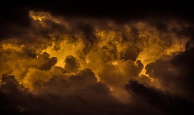 What Will Become of Them?