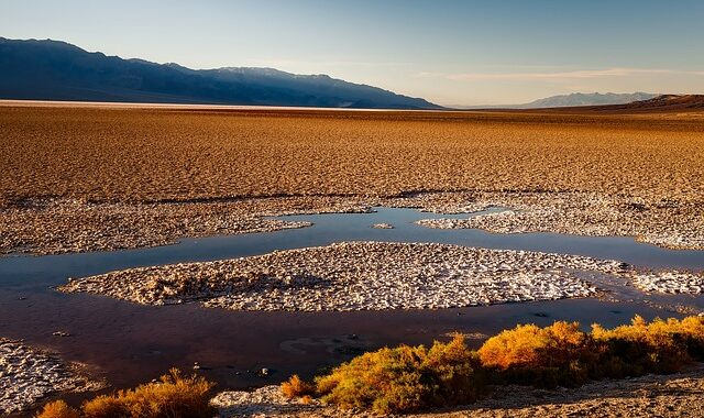 Springs in the Southland