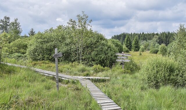 The Knowledge of His Will