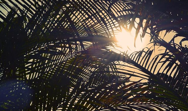 Lessons From the Ironic Entry