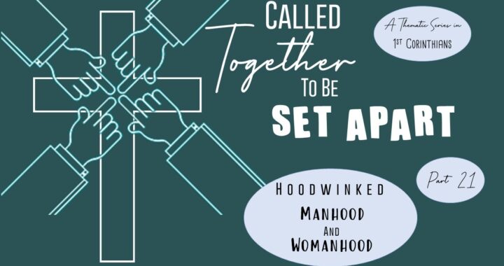Hoodwinked Manhood and Womanhood