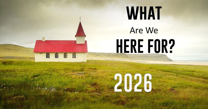 What Are We Here For? 2026